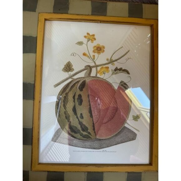 Vintage Watermelon Print By G. Brockshaw In Rustic Wooden Frame